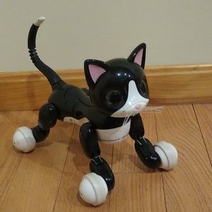 Zoomer kitty